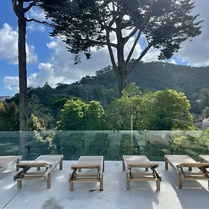 https://cedros-nature-house.hotels-lisbon-portugal.com